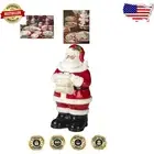 Susan Winget Designed 12.25" Multicolored Santa Cookie Jar - Holiday Must-Have