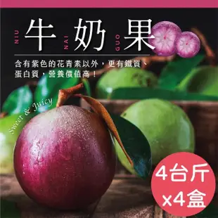 【e果園】牛奶果2號果-大果4台斤/盒x4盒(約8顆裝/盒-2號果250到300克/顆)