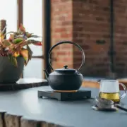 BALMUDA MoonKettle Electric Kettle with Temperature Control BLACK KPT02JP-BK