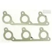 Platinum Extractor Gasket - HSM333