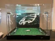 Custom Full Size Helmet Display W/ LED Lights - Philadelphia Eagles