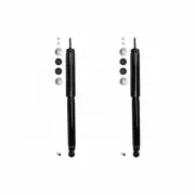 ProGuard Gabriel Rear Shocks for Ford Lobo RWD 2000-2003
