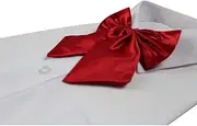 [Zasel] Womens Plain Red Shirt Collar Bow Tie
