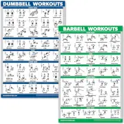 Quickfit Dumbbell Workouts and Barbell Exercise Poster Set - Laminated 2 Char...