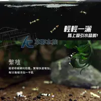 在飛比找蝦皮購物優惠-【AC草影】蝦窩 微生物飼料粉（100g）【一包】增加小蝦育