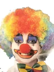 Halloween Men's & Womens Multi Color Clown Wig