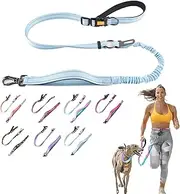 Multifunctional Hand Free Dog Leash with Car Seat Belt Clip (Blue)