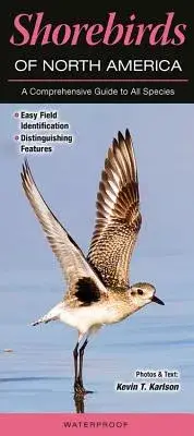 在飛比找博客來優惠-Shorebirds of North America: A