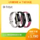 Fitbit Luxe 智慧手環 (黑色/月光白/蘭花紫)【送尼龍軟質後背包】