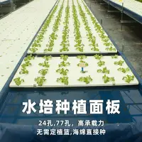 在飛比找Yahoo!奇摩拍賣優惠-無土栽培設備魚菜共生系統水上種菜蔬菜種植床魚塘水床種植浮板特