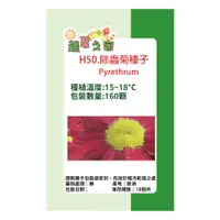 在飛比找PChome24h購物優惠-H50.除蟲菊種子160顆