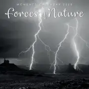 Forces of Nature - 2025 Square Wall Calendar 16 month by Gifted Stationery