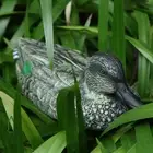 Outdoor Hunting Mandarin Duck Decoy Garden Lawn Decor Scarecrow