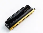 Easttop Romance 14 Professional Chromatic Harmonica in C w/ Zippered Case