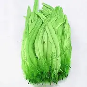 100 Pcs Black Rooster Feathers Rooster Tail Feathers Pheasant Feathers for Crafts Feathers Decoration 25-30CM Apple EN8