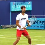 DJOKOVIC JUNIOR 網球上衣 100% 純棉透氣運動褲男女比賽訓練球衣