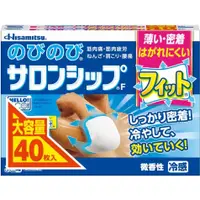 在飛比找蝦皮購物優惠-久光貼布 Hisamitsu 免運包關稅 日本直送 冷感貼布