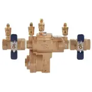 Febco 1" 860-QT RP Reduced Pressure Backflow Preventer 1313