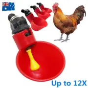 Automatic Water Feeder Drinker Chicken Waterer Poultry Chook Bird Duck Drink Cup