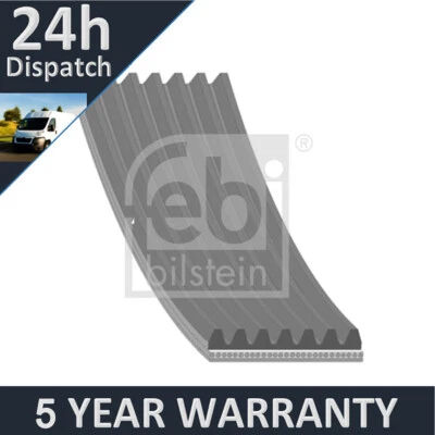 Fits Renault Clio 2005-2014 Modus 2004- 1.1 1.2 Purevue Alternator A/C Belt