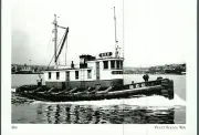 *Washington Postcard-"The "BEE" Tugboat /Built 1901/ *Puget Sound- {EX-1}