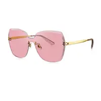 在飛比找樂天市場購物網優惠-BOLON｜BL7050 金屬太陽眼鏡 兩色