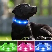 Ezierfy Light Up Dog Collars - Reflective Glowing LED Dog Collar, USB Rechargeable Pet LED Collar Light for Night Dog Walking (Blue, Large)