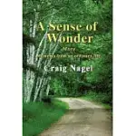 A SENSE OF WONDER: MORE MOMENTS FROM AN ORDINARY LIFE