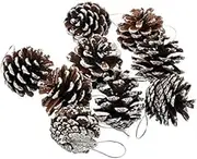 Natural Pine Cones Mini Bulk for Christmas Tree, Holiday Decor, Snowy Hanging Rattan Decoration, Home Garland, Wreath Log