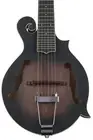 Gold Tone F-12 12-string Acoustic-electric Mando-Guitar - Tobacco Sunburst