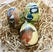 Set of 3 Garden birds, hand painted chicken Easter egg shell