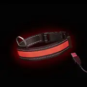 Loomo Moonshine LED Dog Collar Red