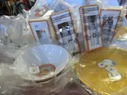 Pottery Barn SNOOPY+PEANUTS THANKSGIVING DINNERWARE SUPER SET 16 PCS ALL NIP