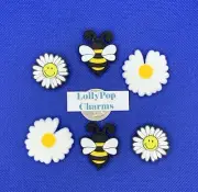 6 pc Bees and Daisies Shoe Charm Set.
