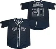 [Rainbow Hawk] Men's #20 Josh Gibson Homestead Grays National League Baseball Jersey