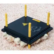 Comfort Chick/Brooder Chickplate Heating Plate 38 Watts 40cm x 40cm