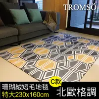 在飛比找PChome24h購物優惠-TROMSO珊瑚絨短毛地毯-特大C北歐格調230x160cm