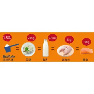 【BeRule】薄荷巧克力風味乳清粉(1000公克/包)