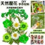 【A-ONE 匯旺】花藝材料包 綠葉 乾燥花 永生花 壓花 DIY水晶 書籤 多款可選 植物標本