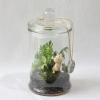 在飛比找蝦皮商城優惠-【原生態NatureWorld】植物生態瓶/DIY材料包+教