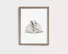 Sleeping Arctic Hare Print Arctic Nursery Decor Arctic Nursery Print Hare