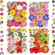 101Pcs Pressed Dried Flowers for Resin Molds, Real Natural Bulk Dry Floral Leave for DIY Art Crafts, Epoxy Jewelry, Candle, Soap Making, Nails Decors