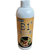 在飛比找蝦皮購物優惠-現貨【全館590超取免運】B1+活力素 微綠 開根劑 定植、