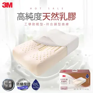 3M 天然乳膠防蹣枕-工學助眠型(附防蹣枕套)