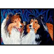 Carolines Treasures 7508JMAT 24 x 36 in. Sheltie Indoor Or Outdoor Doormat