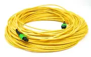 12 Fiber Trunk Cable, MTP Female-MTP Female, Singlemode, Type B, OFNR 1 Meter