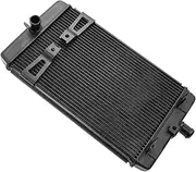 Radiator Grille Fit For Triumph Bonneville Bobber 2017-2022 Fit For Speedmaster 2018-2022 2019 2020 2021 Motorcycle Aluminum Radiator Engine Radiator