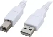 Cables 2 Go C2G 13172 USB Cable, 6FT, A Male to B Male Connectors