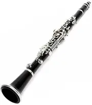 Axiom Beginner Clarinet Outfit - Ideal for School Band