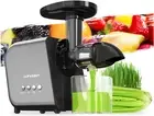Ginger Juicer Machine Masticating Cold Press Juicer Extractor Wheatgrass Black